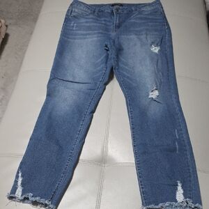 d. jeans Ripped Ankle Jeans in Blue